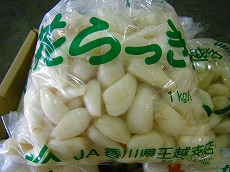 傤.jpg