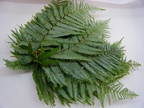 2008_1223hp�ʐ^0003.jpg