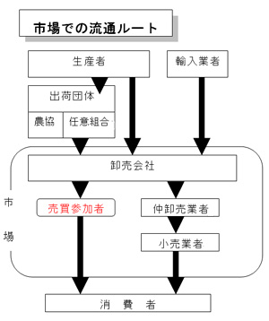 市場での流通ルート