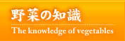 野菜の知識